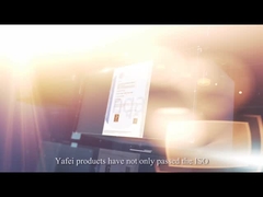 Introdução da empresa